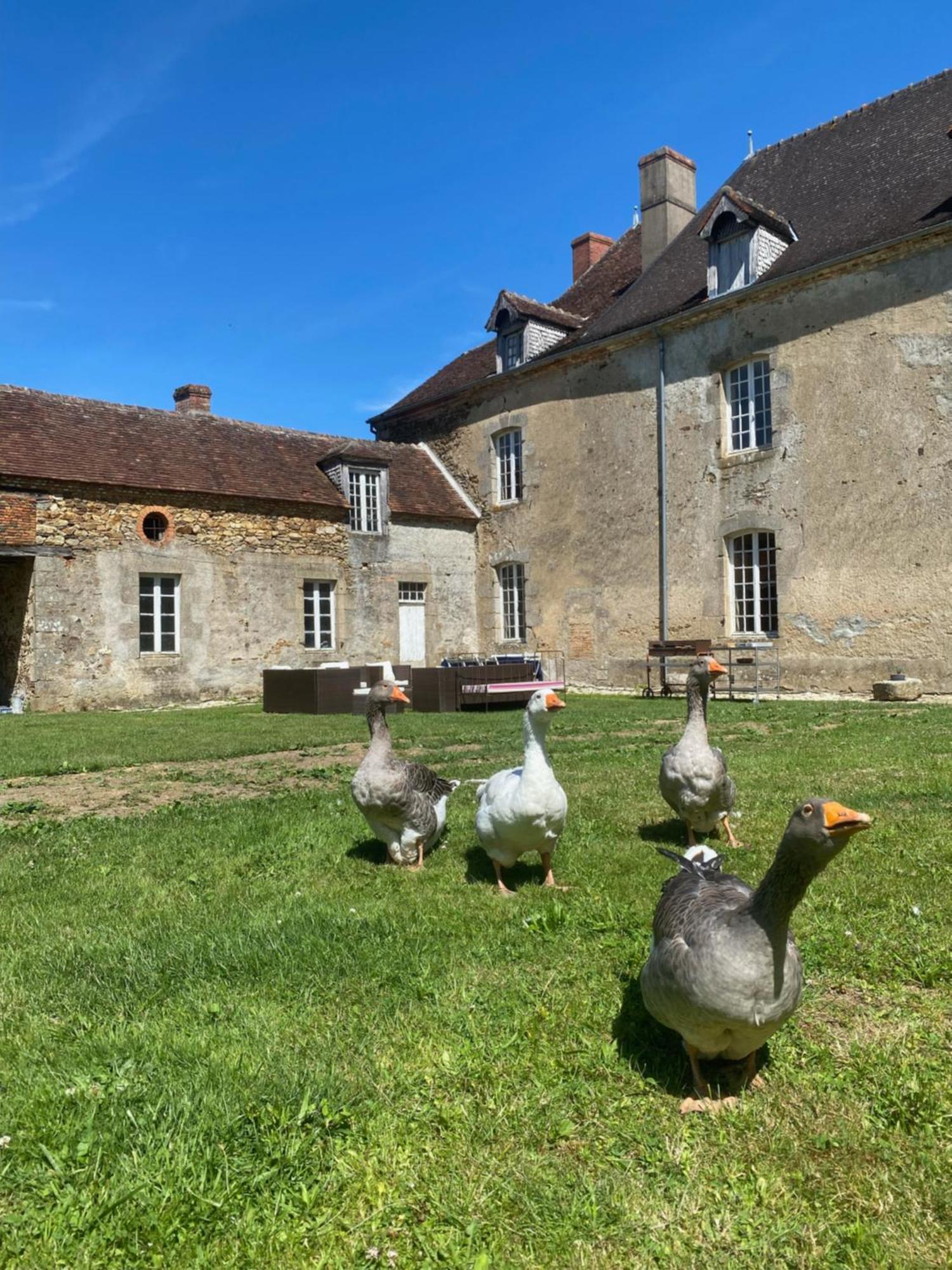 Chateau De Grandsagne Bonnat Exteriör bild